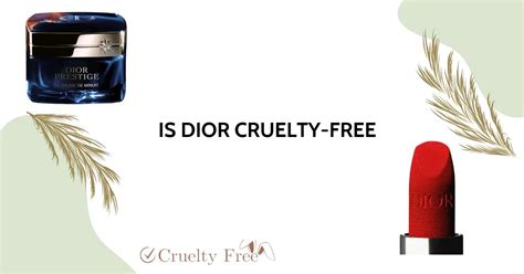 is Dior ethical